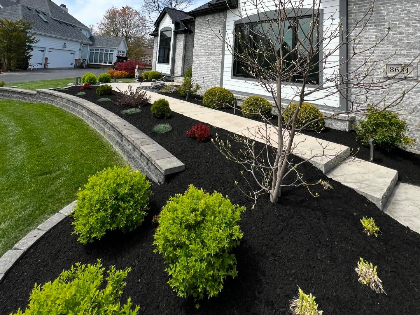 Landscaped home exterior with black mulch, green bushes, and stone walkway.