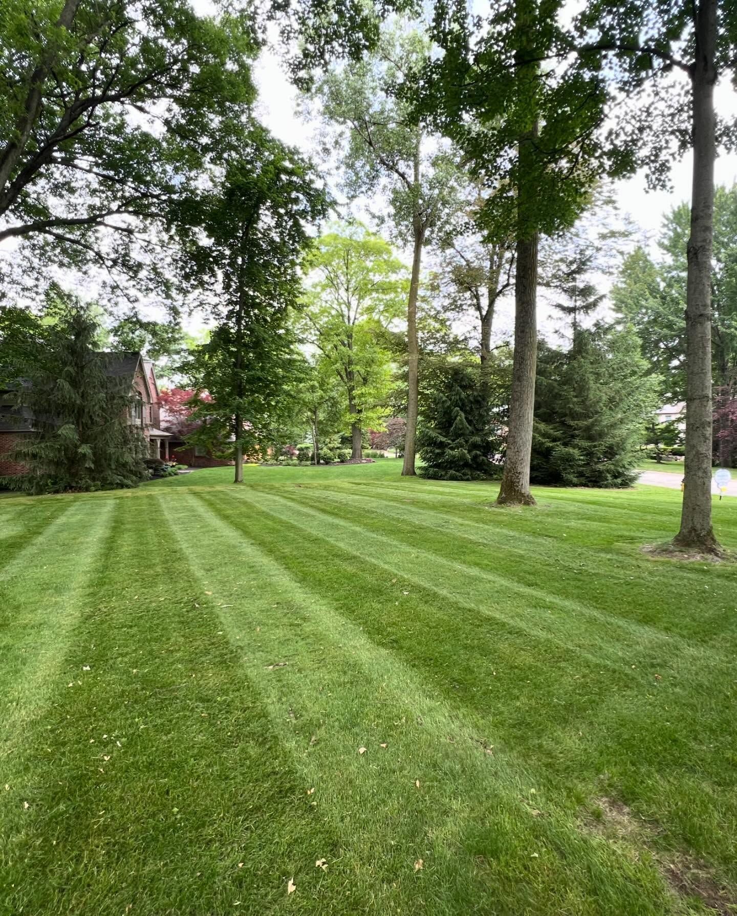 Lush green lawn with freshly cut stripes, trees, and a house in the background.