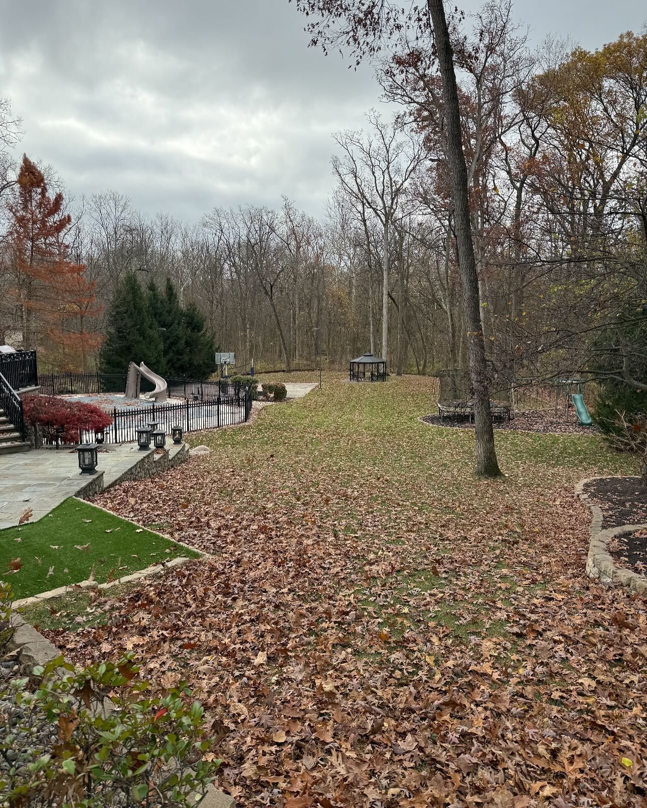 Backyard covered in fallen leaves with trees in the background under a cloudy sky.