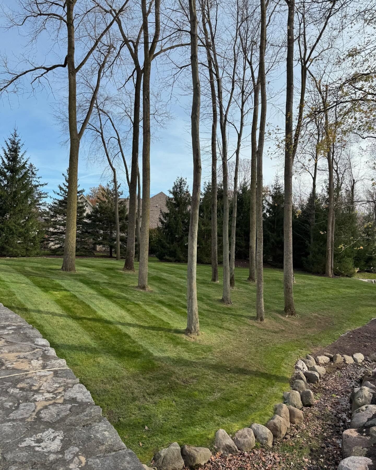 Trees cast shadows on a freshly mowed green lawn. A stone wall borders a small rock garden. Blue sky.