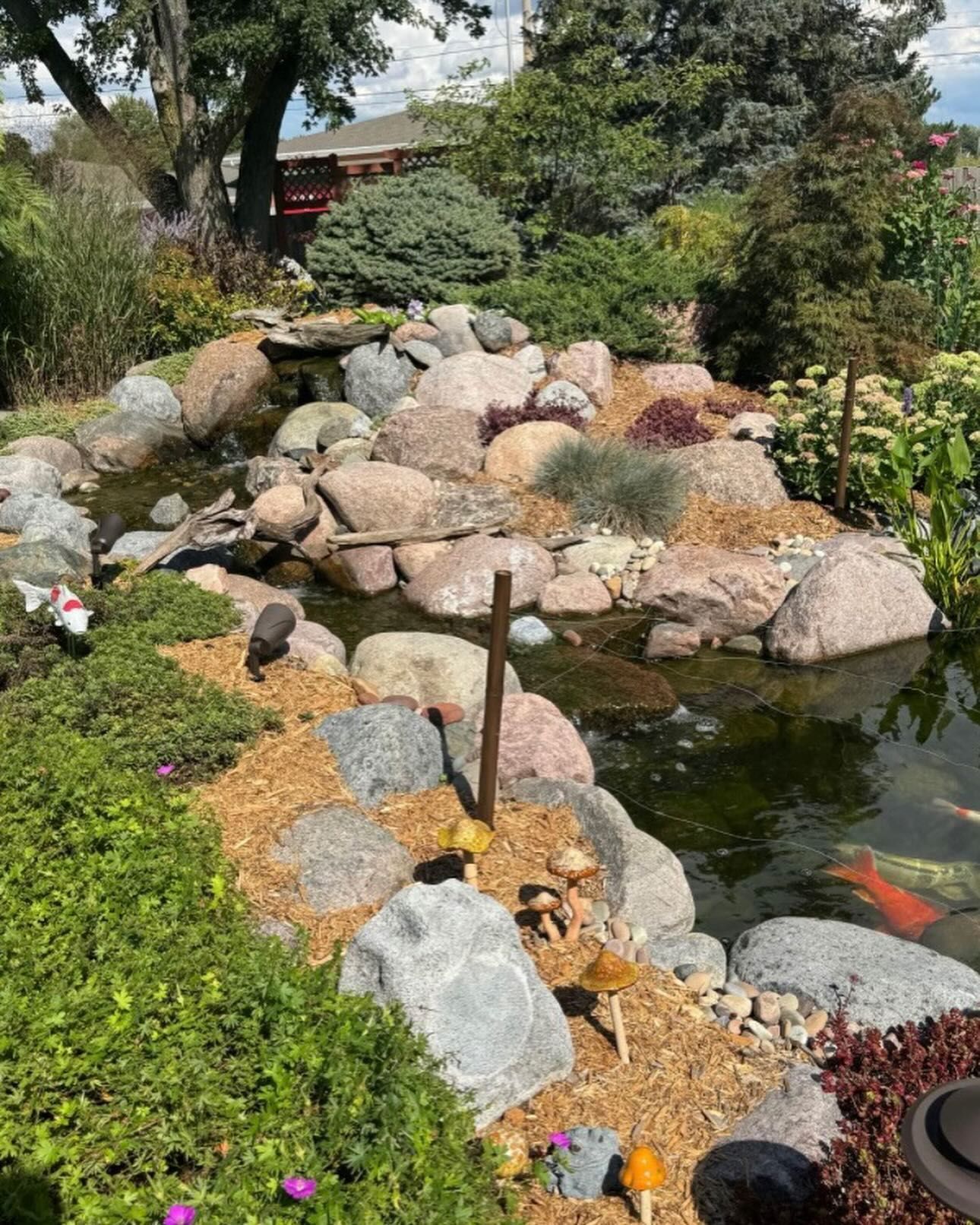 A vibrant koi pond with large rocks, colorful plants, and decorative mushrooms in an outdoor setting.