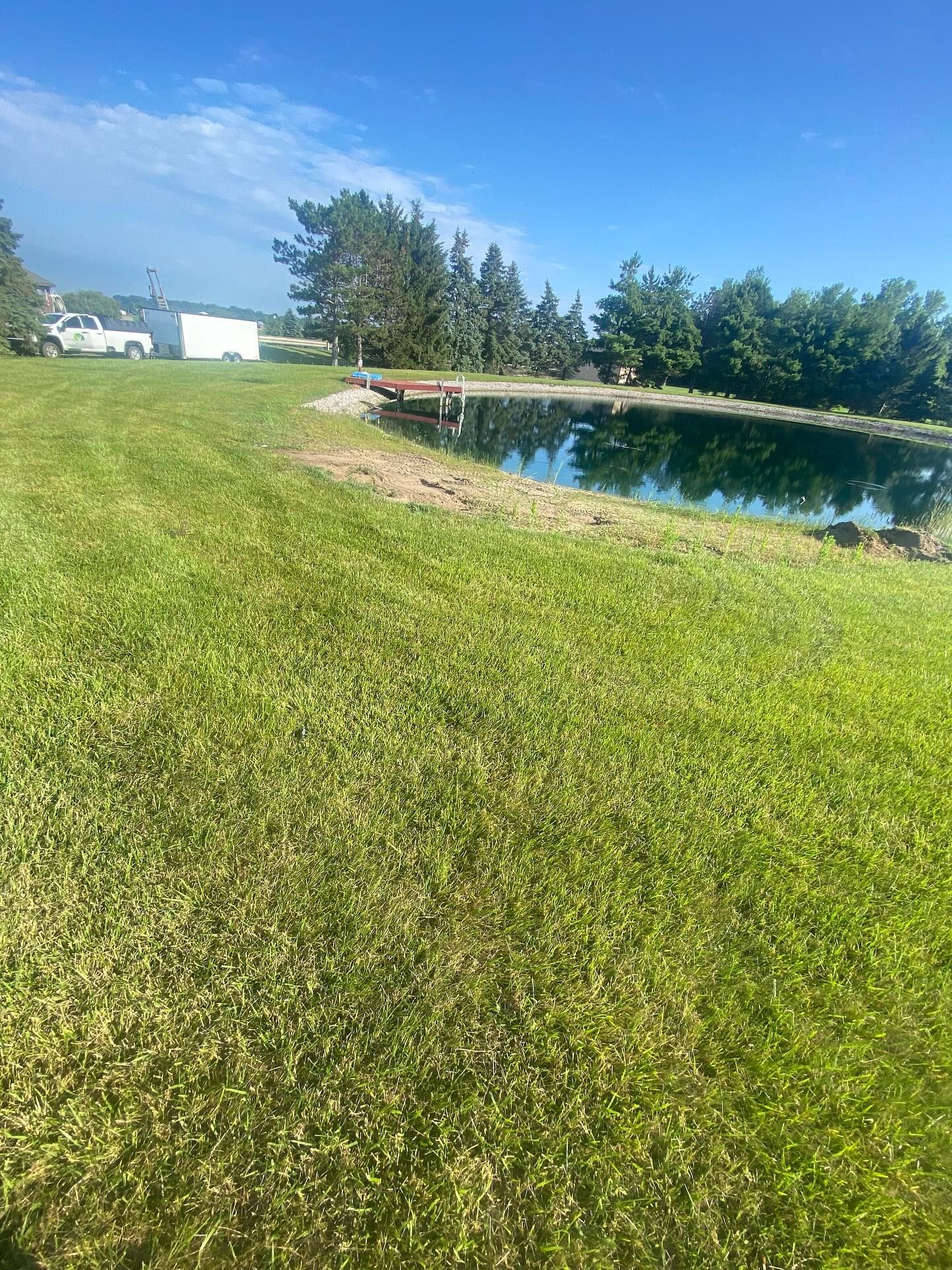 Grassy field leading to a pond with trees and a bright blue sky.