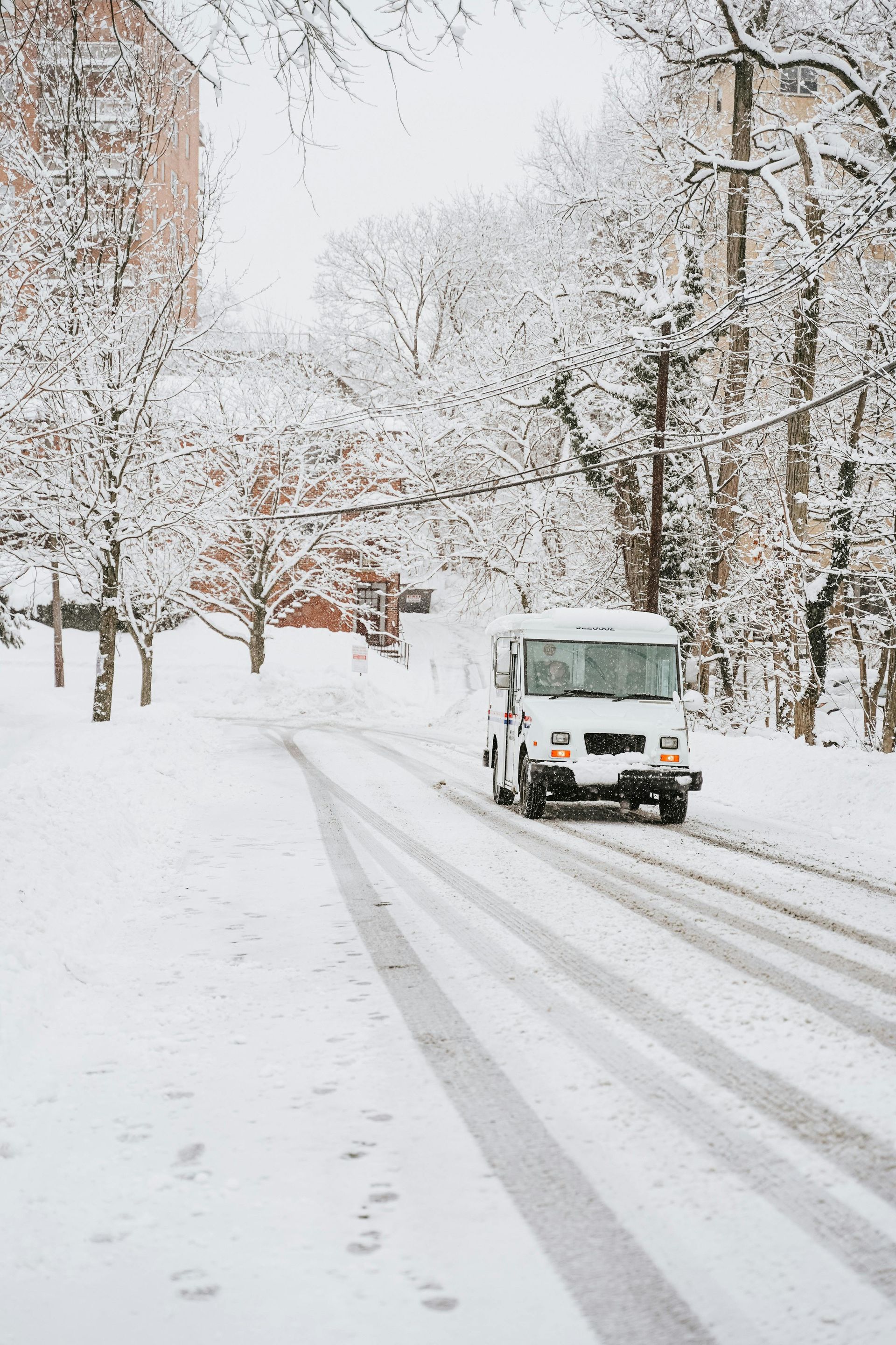 White postal truck on snowy road lined with snow-covered trees; winter scene.