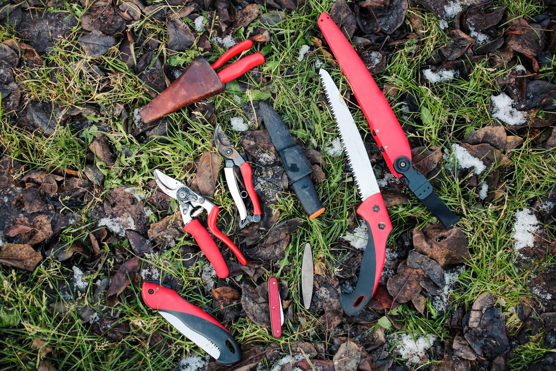 Gardening tools on ground covered in leaves, including pruning shears, saws, and a knife; red and black.