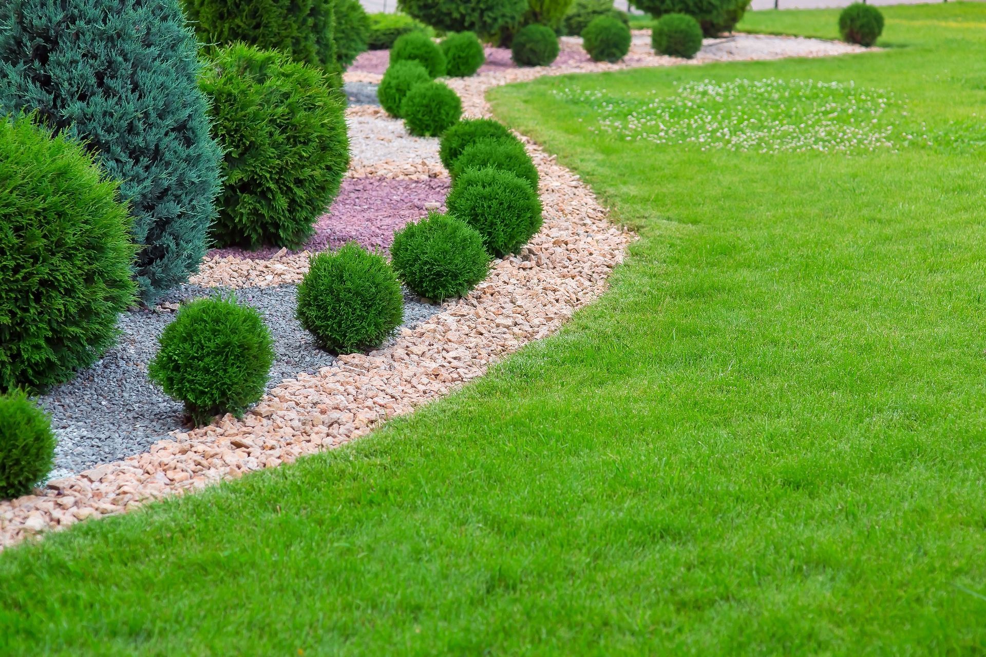 Manicured garden bed with green lawn, spherical shrubs, and gravel edging.