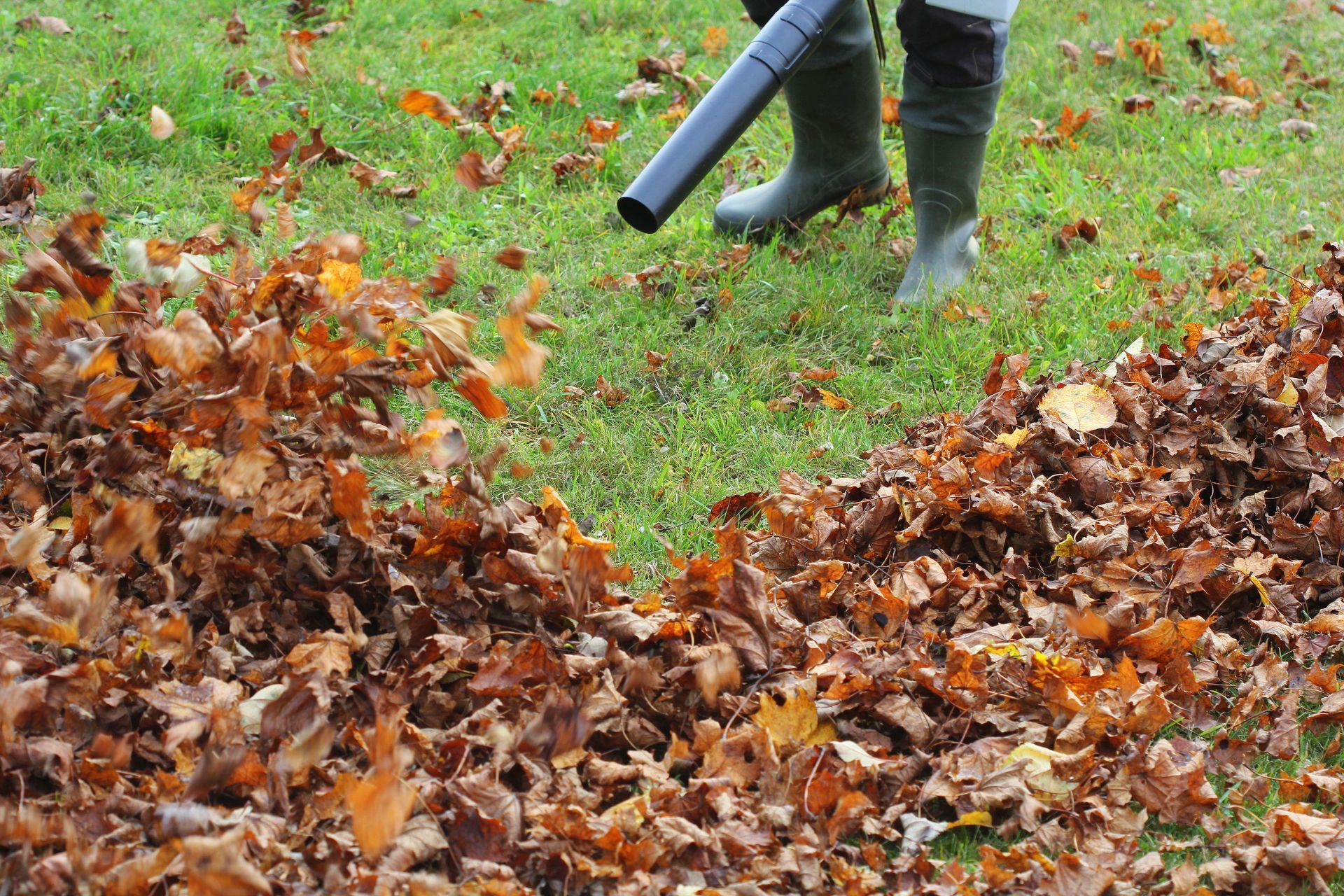 A person wearing boots uses a leaf blower to clear brown autumn leaves from a green grass lawn.