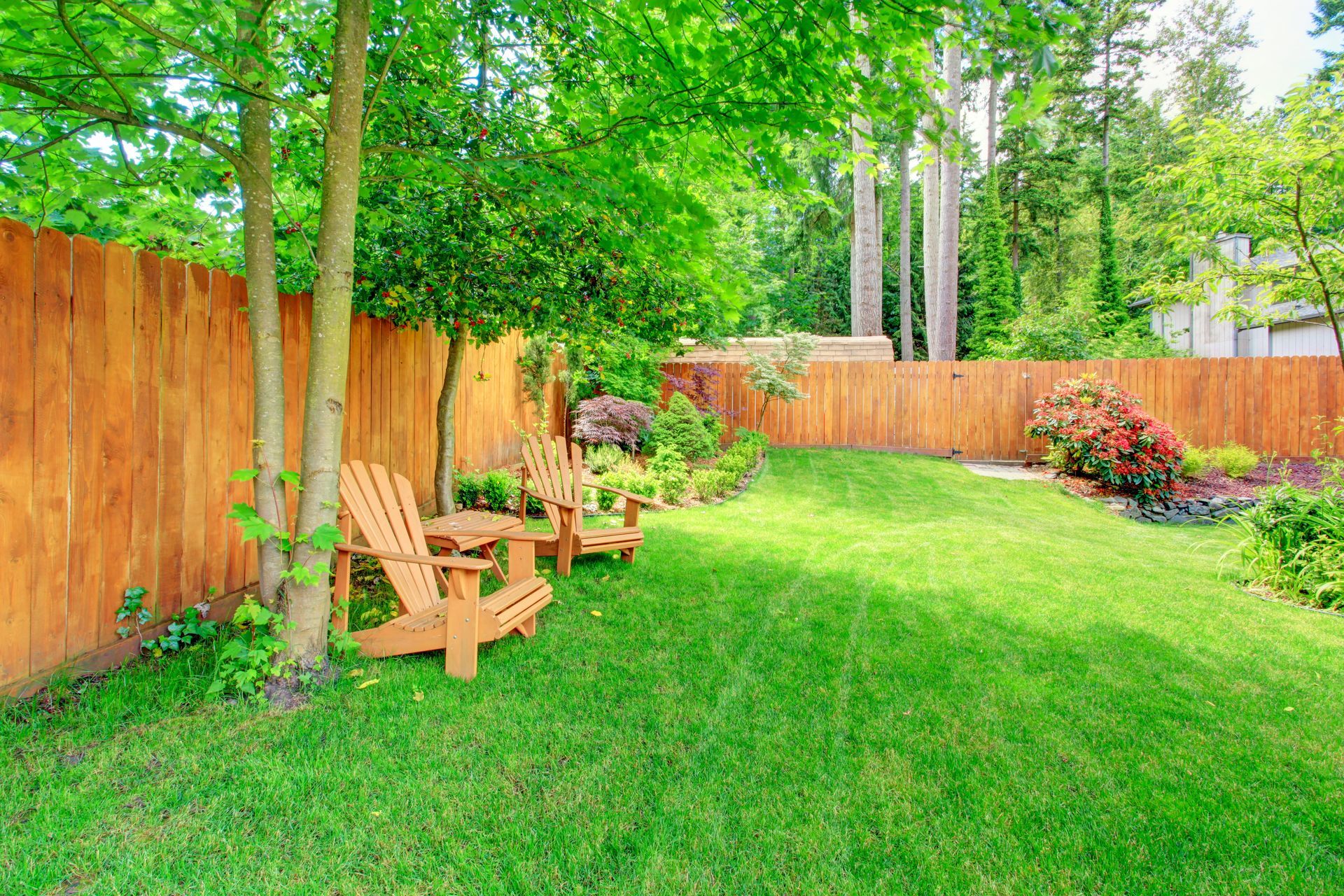 Sunny backyard with green lawn, wooden fence, trees, and Adirondack chairs beside a flower bed