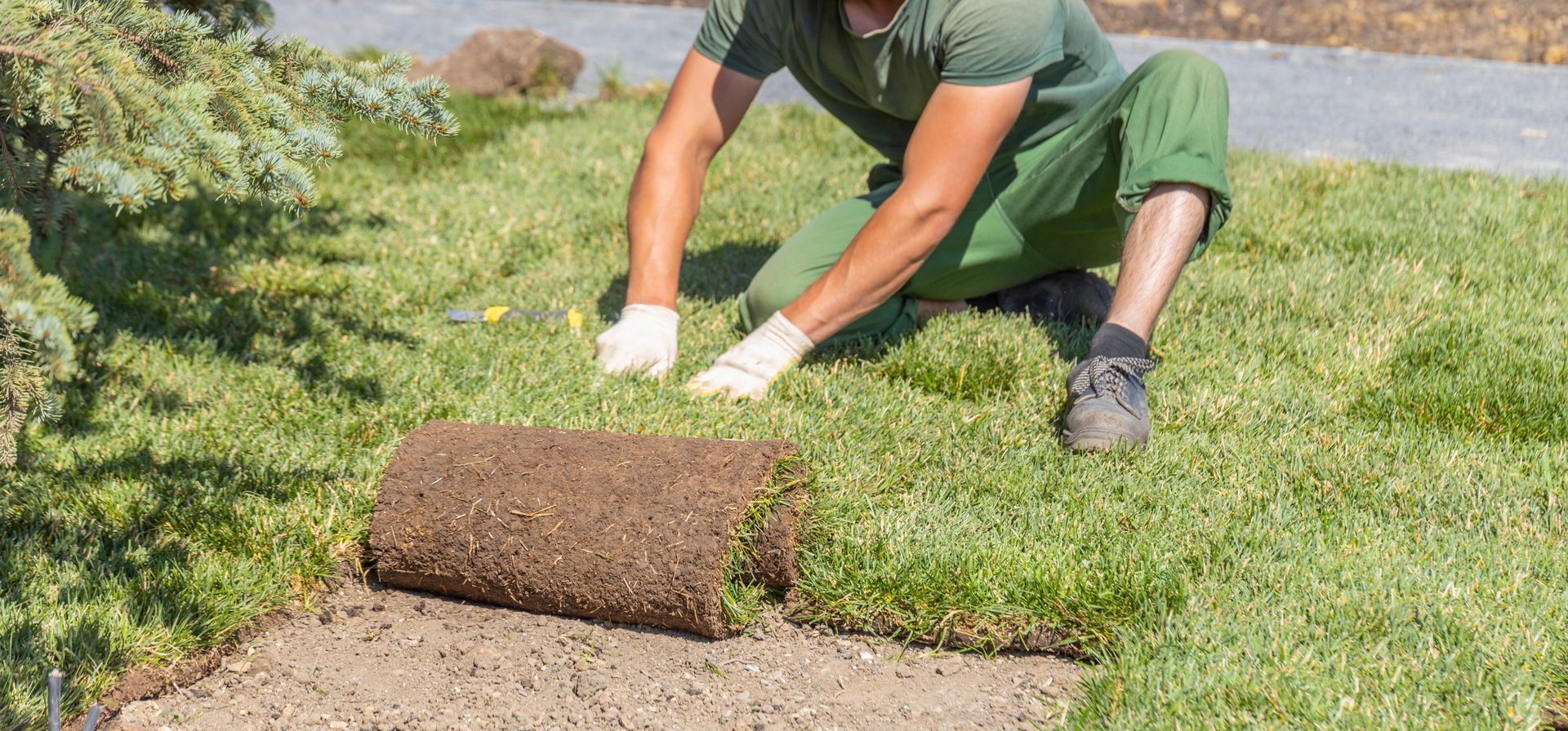 A worker in green clothes kneels on the ground, installing rolls of fresh turf on a garden lawn.
