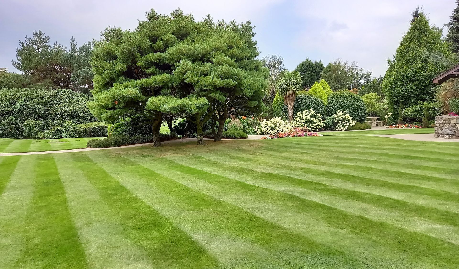 Lawn with diagonal stripes, a large tree, and garden beds with flowers. Cloudy sky.