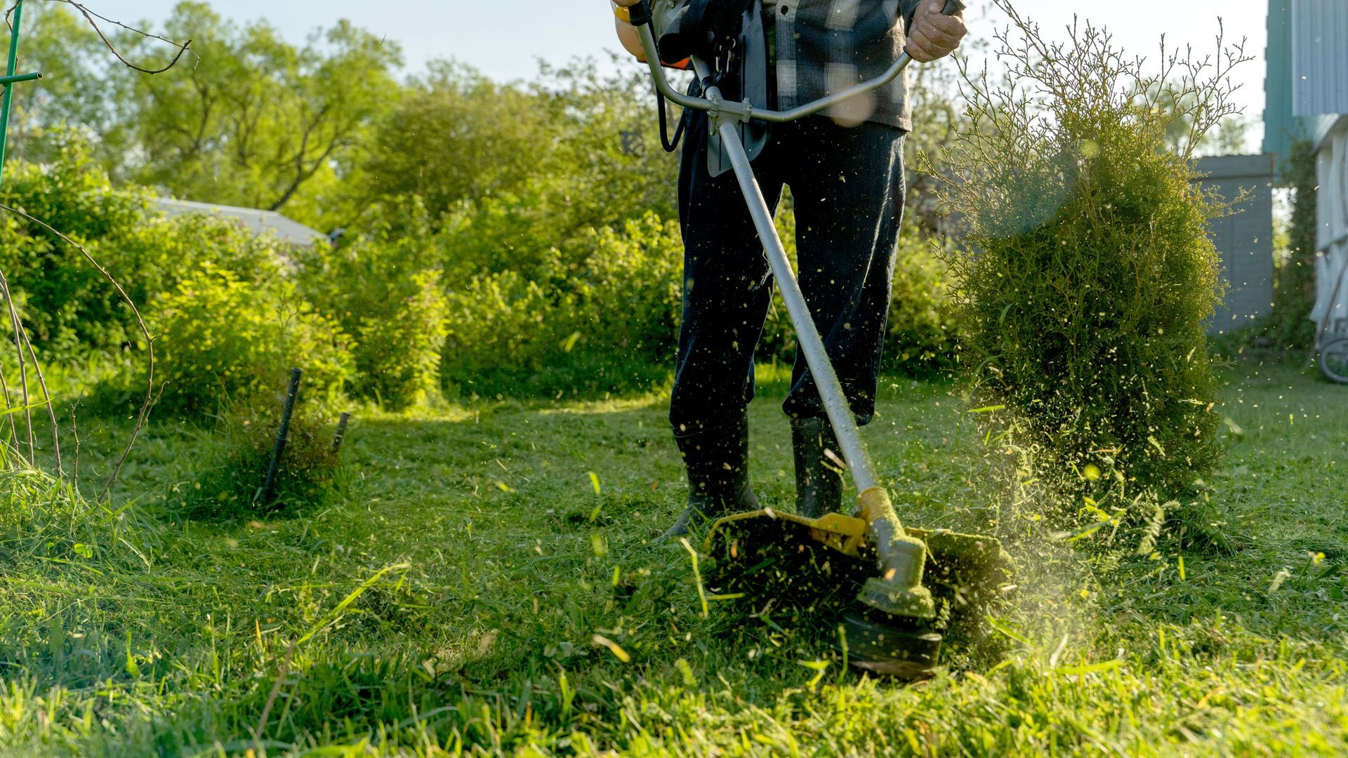 A person using a weed trimmer in a grassy yard, with grass and debris flying.