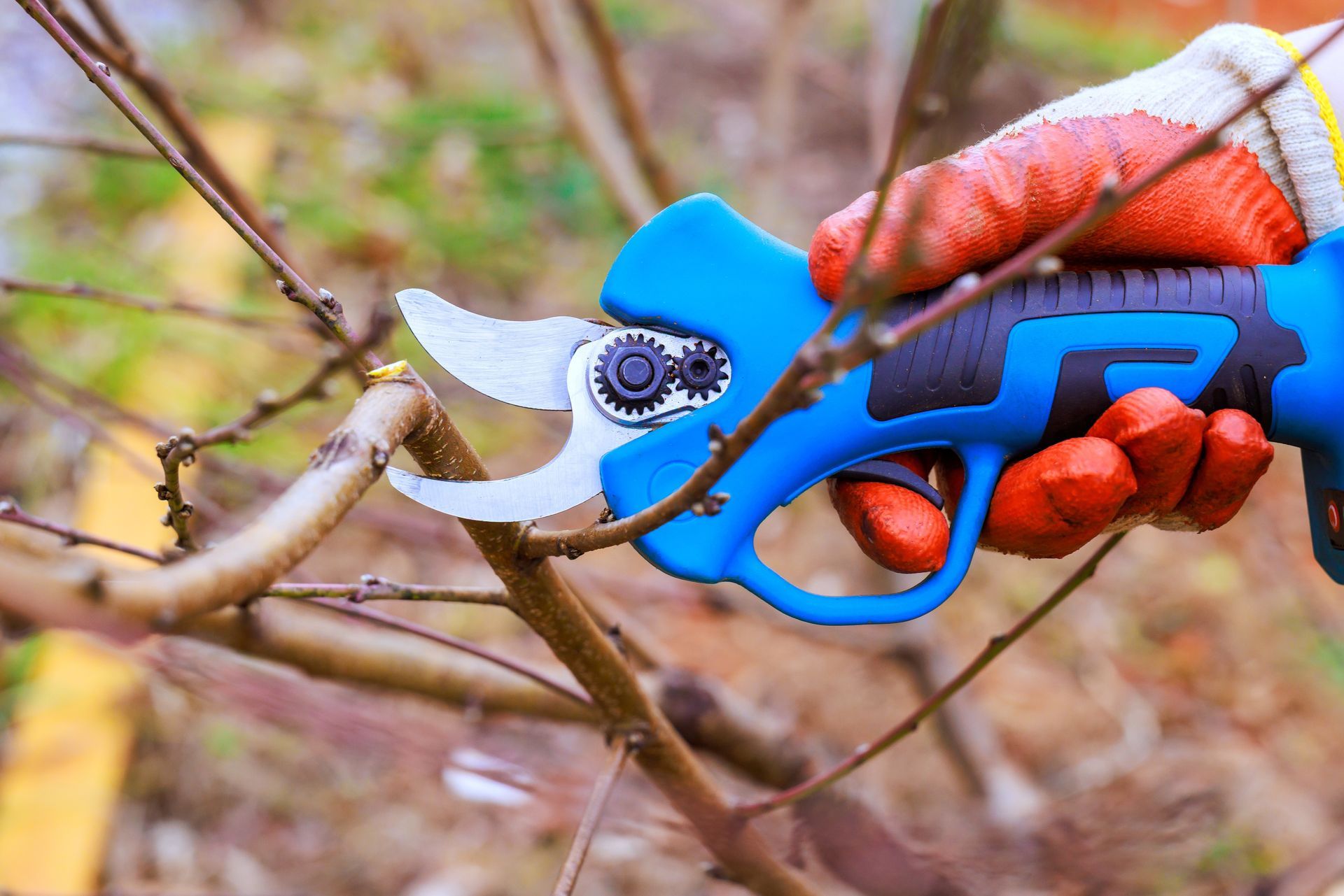 Hand prunes a brown tree branch with blue electric shears, wearing orange work gloves.