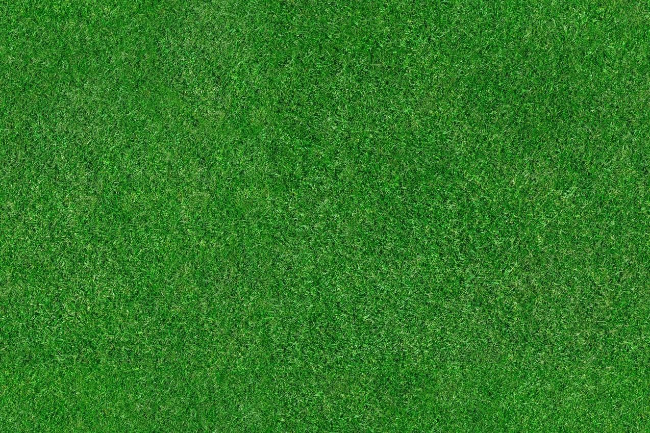 Close-up of green grass texture filling the frame