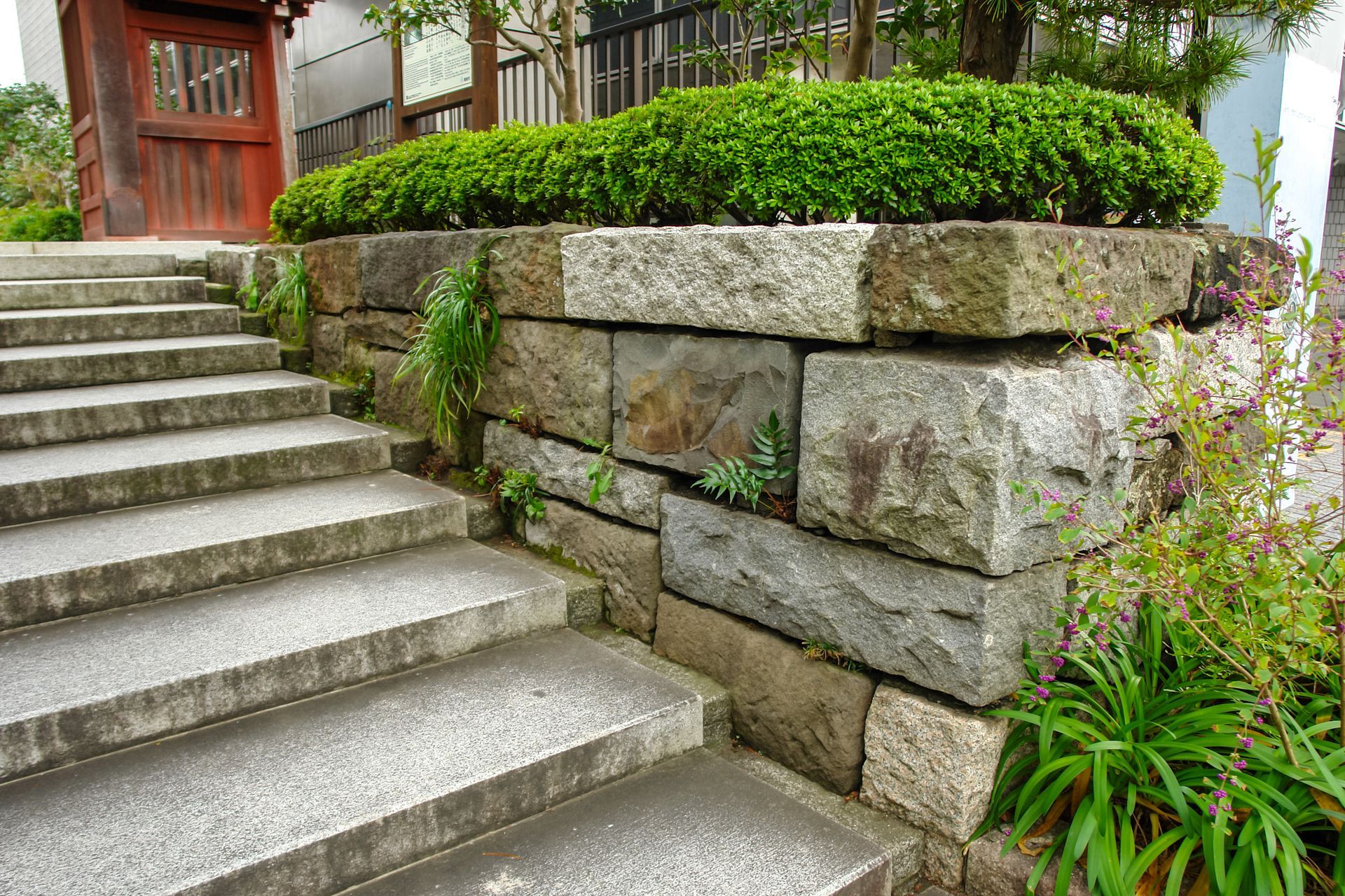 Stone steps leading up to a neatly trimmed green hedge atop a textured stone retaining wall with lush greenery.