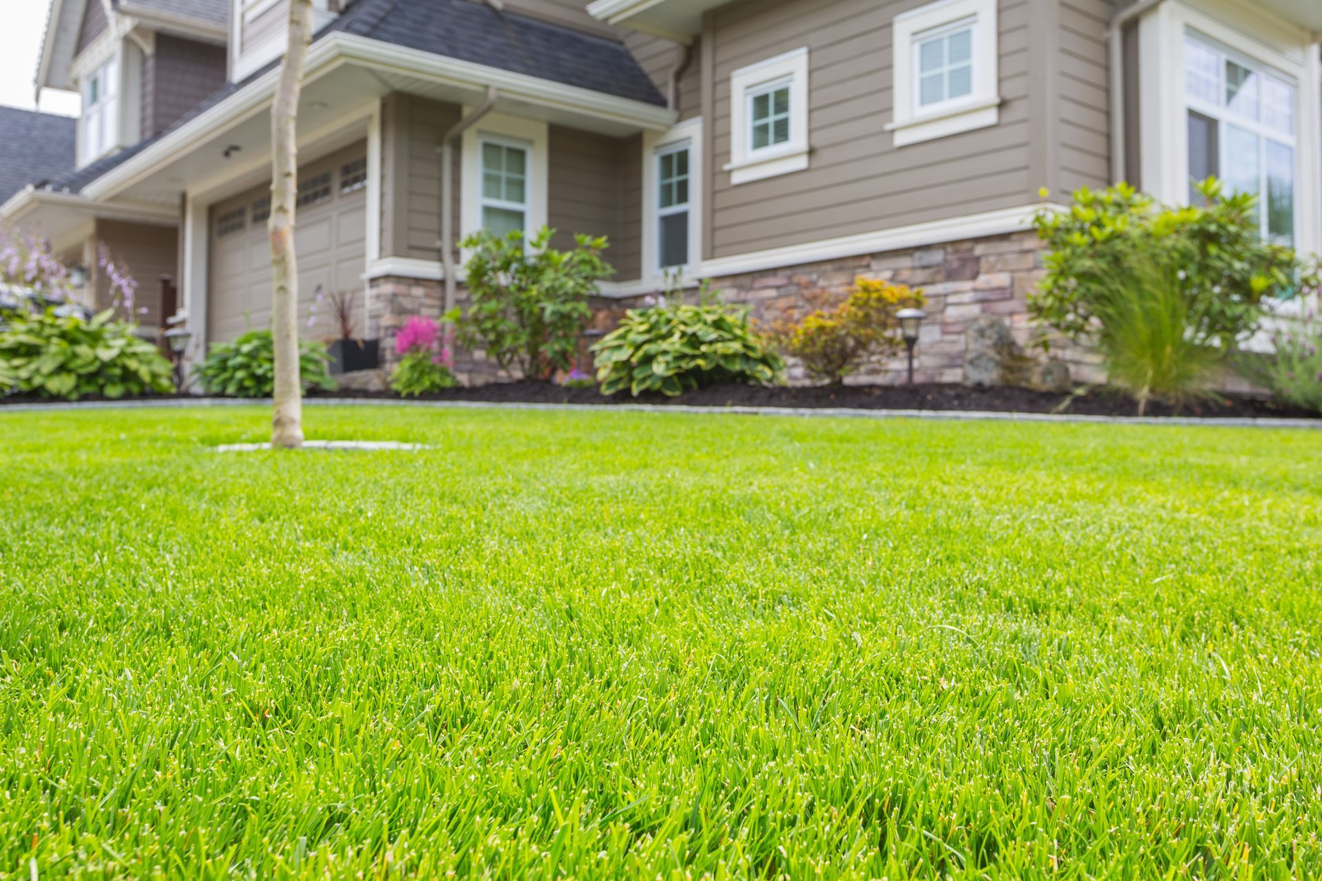 Green lawn in front of a tan house with a stone facade, shrubs, and a tree.