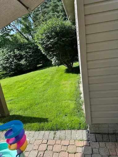 Green lawn, tree, and building with tan siding, on a sunny day. A children's toy is in the lower left.