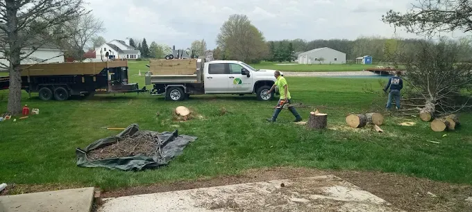 Men cutting trees with a truck and trailer, on a lawn in a residential area.