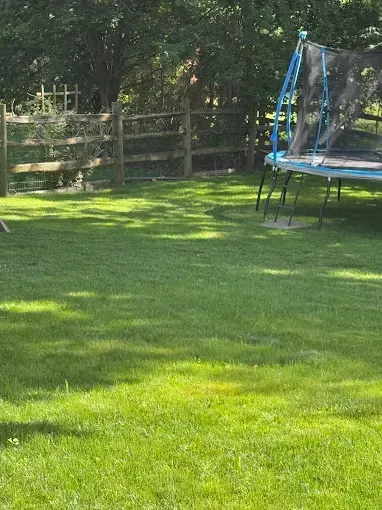 Green lawn with a trampoline and wooden fence in a sunny backyard.