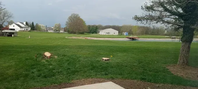 A green, grassy field with a pond and buildings. A tree is on the right, the sky is overcast.