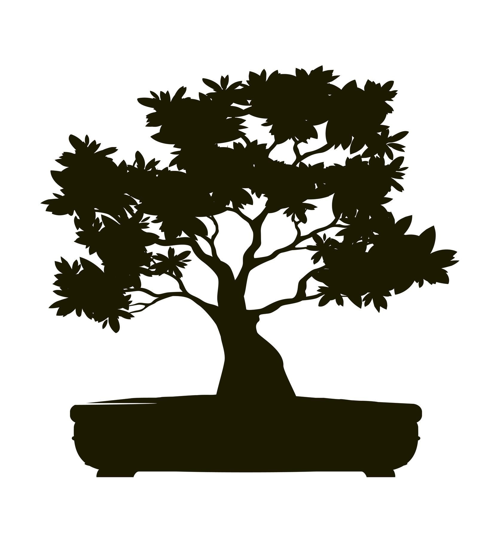 Potatura di piante ad alto fusto