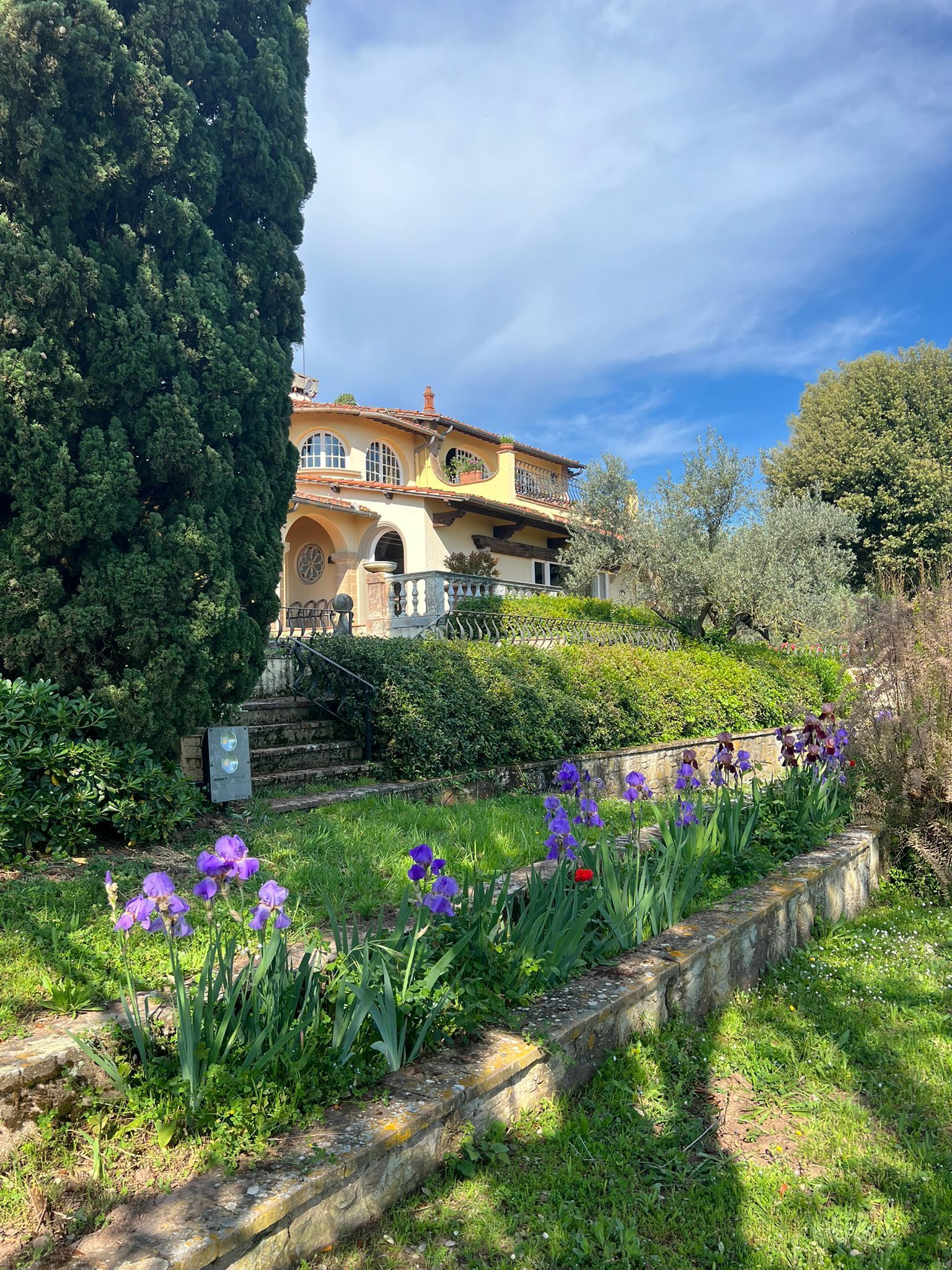 Progettazione e manutenzione giardini