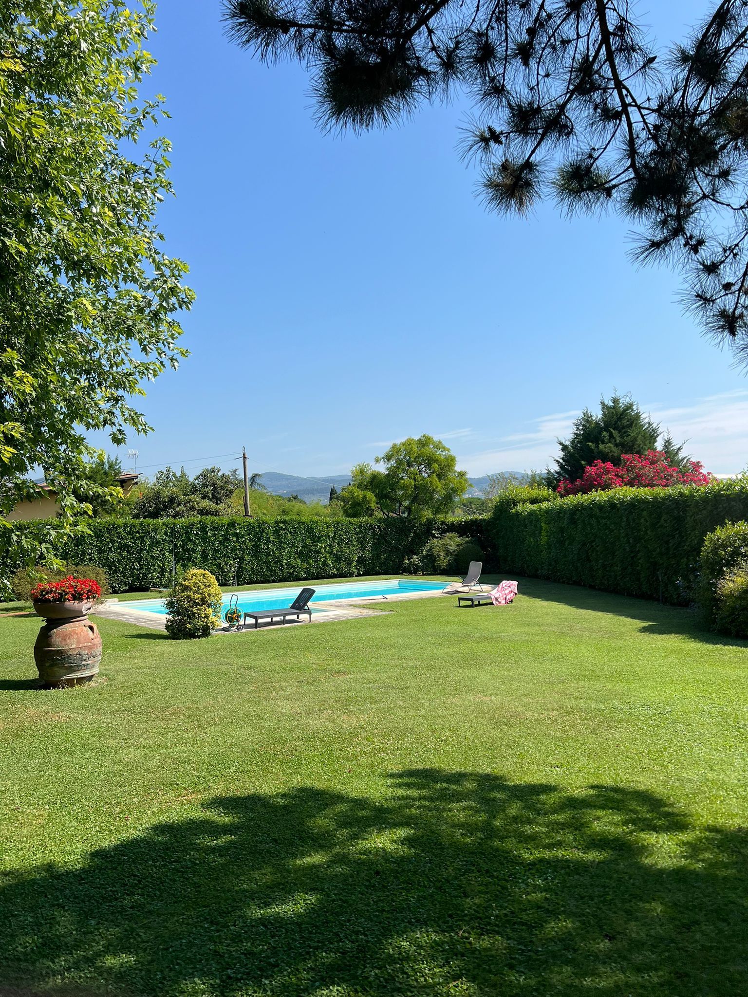 Manutenzione del verde condominiale