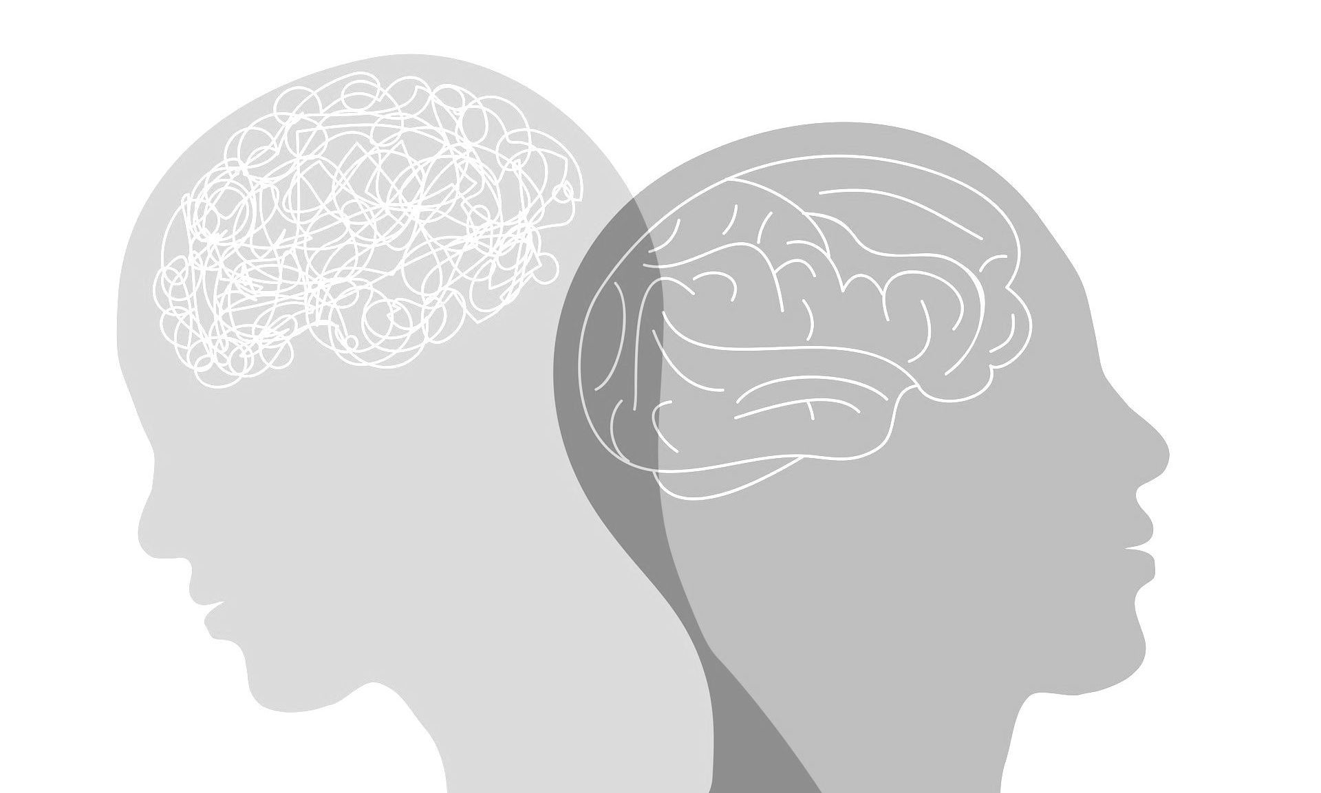 two human brain illustrations overlapping one another