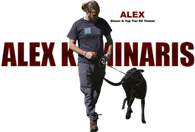 Man walking a black dog on a leash, with text