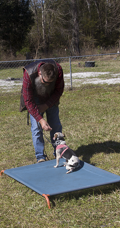 Client and his small dog showing off tricks his dog learned