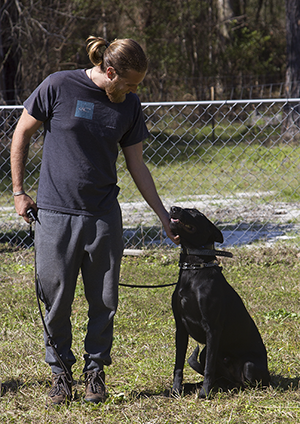 Man in gray sweatsuit petting a black dog, sitting in grass near a chain-link fence.