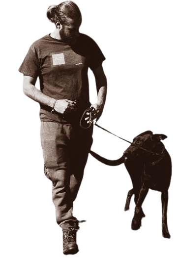 Alex Kaminaris walking trained client dog Alex Kaminaris walking trained dog