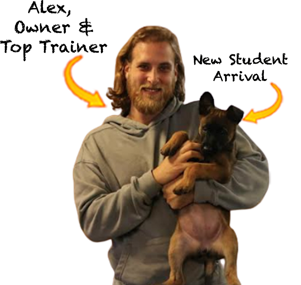 Alex, a dog trainer, holding a puppy, labeled as a new student arrival.