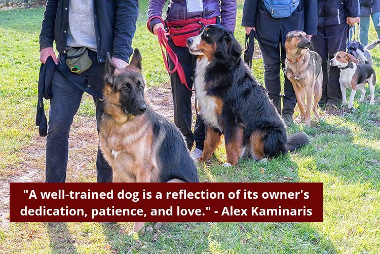 Dogs and owners lined up outdoors. Quote: 