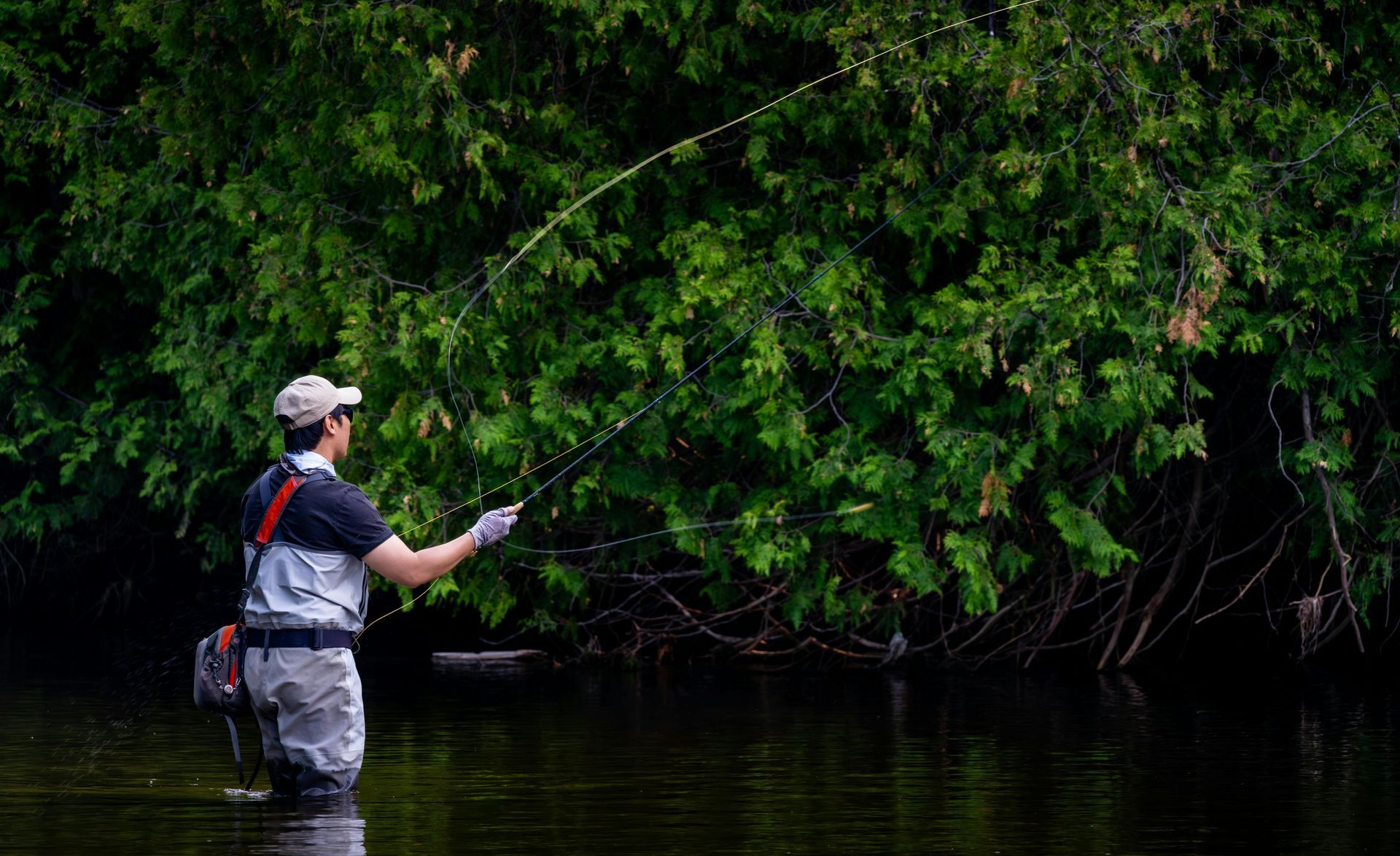 Man fishing in a river, wearing waders, casting a line with a backdrop of green foliage.
