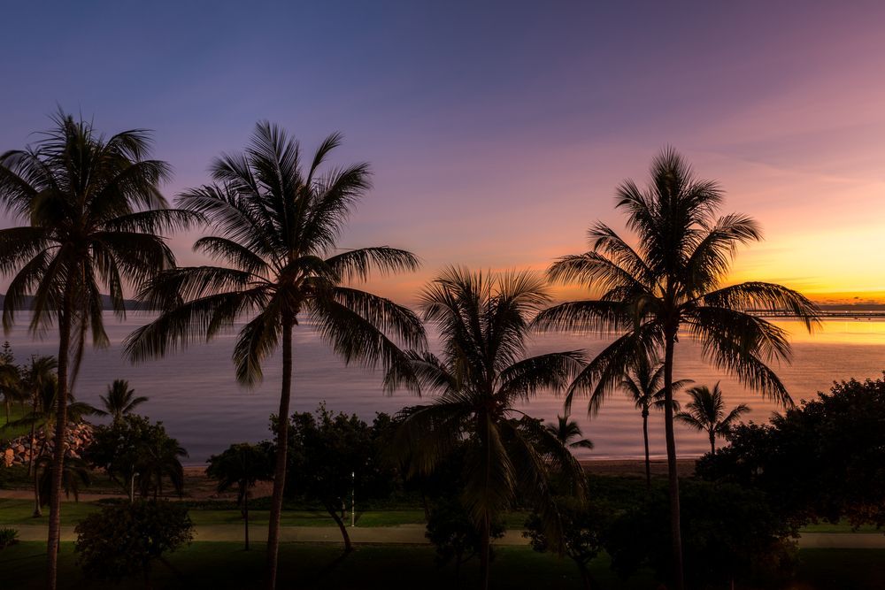 A Sunset Over The Ocean With Palm Trees In The Foreground — Law Air Conditioning In Townsville, QLD
