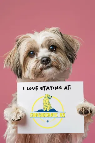 A woman is smiling next to a brown dog with its tongue out