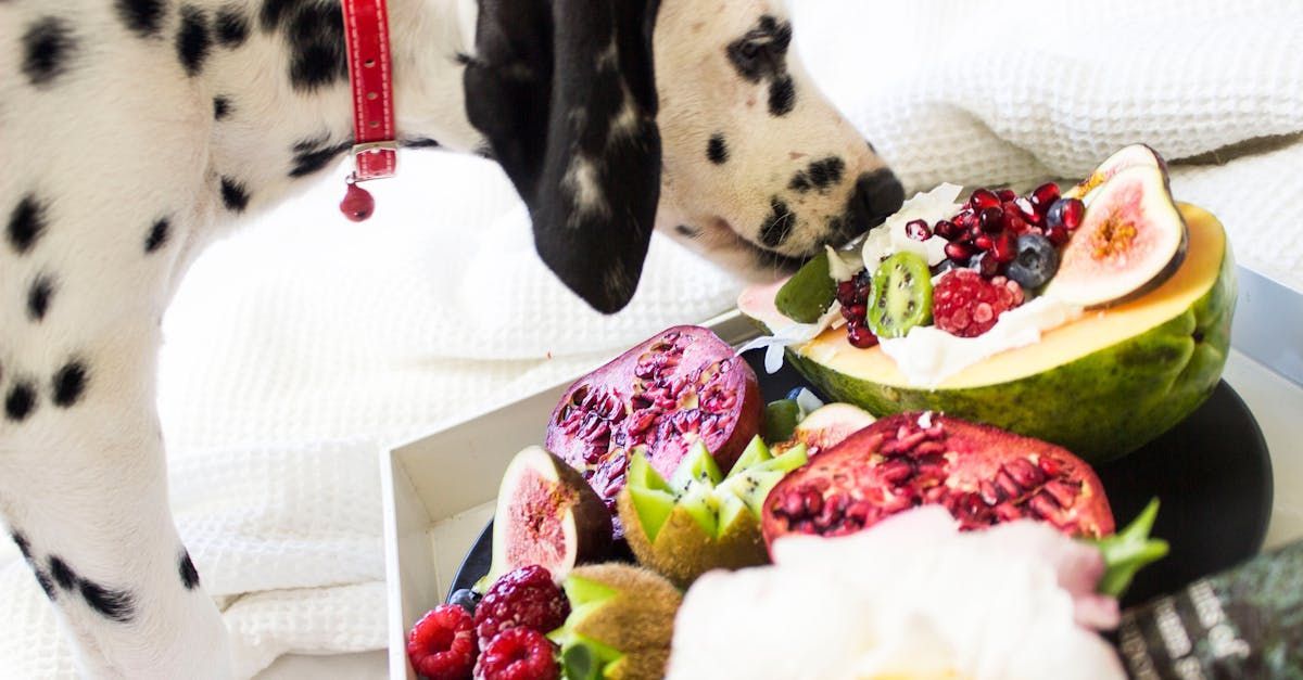 A dalmatian dog is sniffing a plate of fruit.