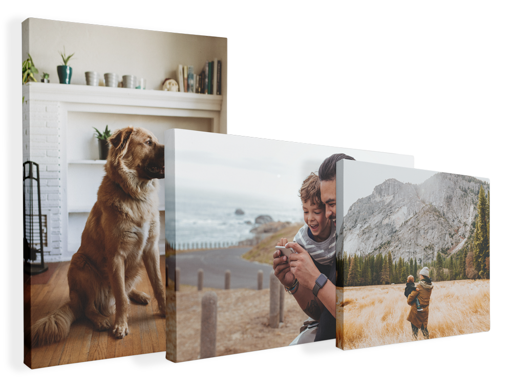 three canvas prints of a dog , a man and a child .