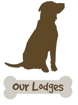 Our Dog-friendly Holiday Lodges