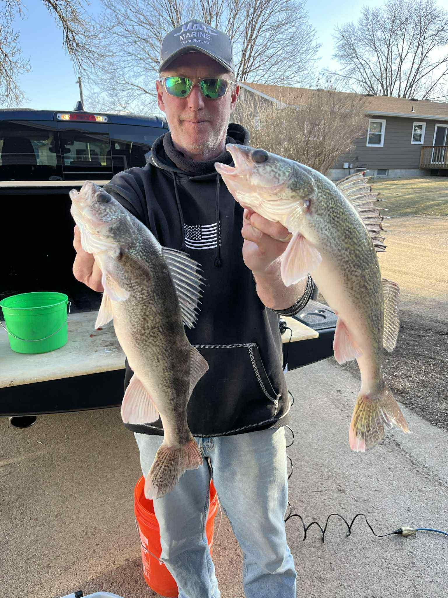 Man in sunglasses holding two walleye fish. Black hoodie, blue jeans. Outdoors.
