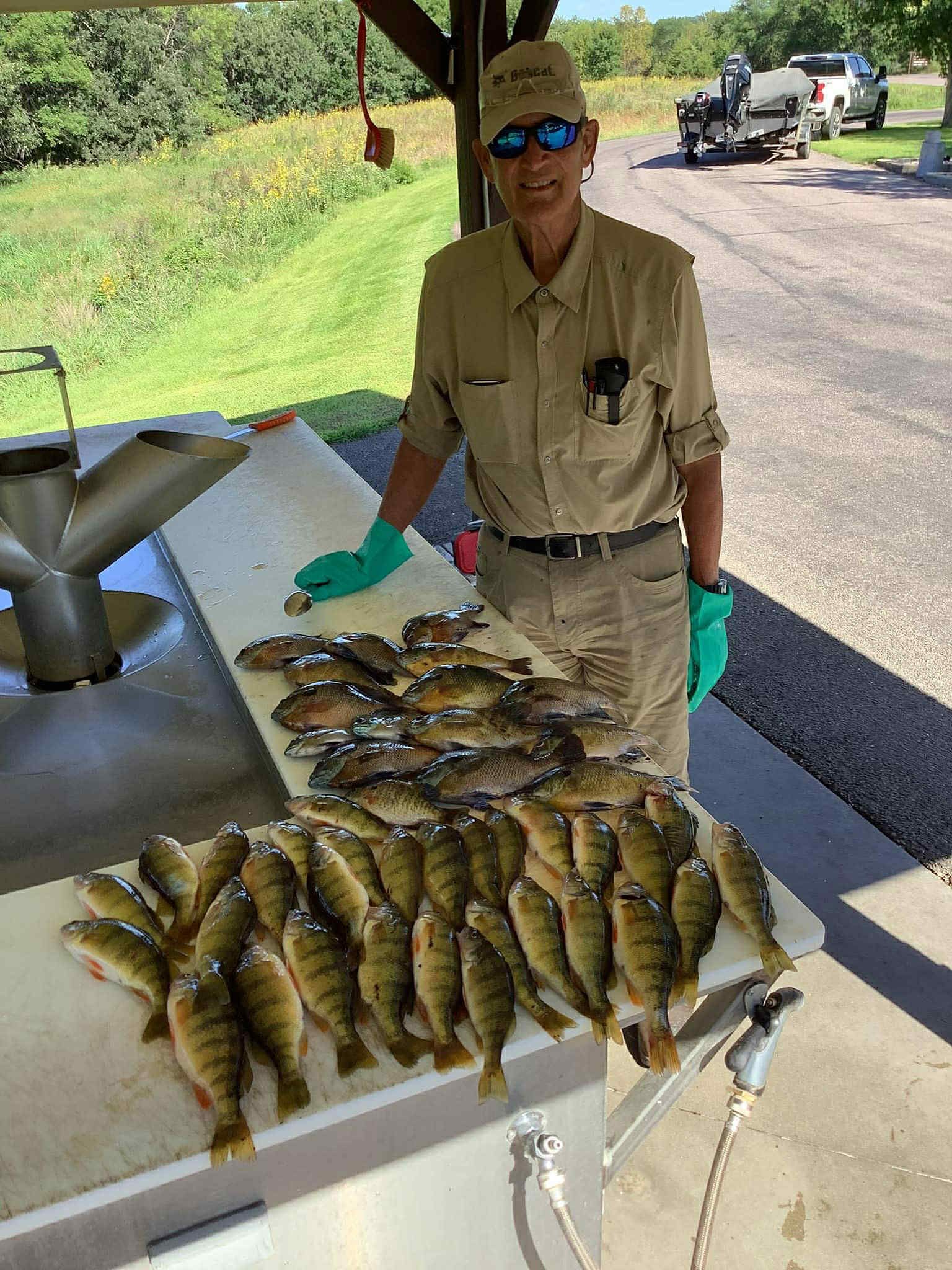 Person in a tan outfit with many yellow perch on a cleaning table outdoors near a lake.