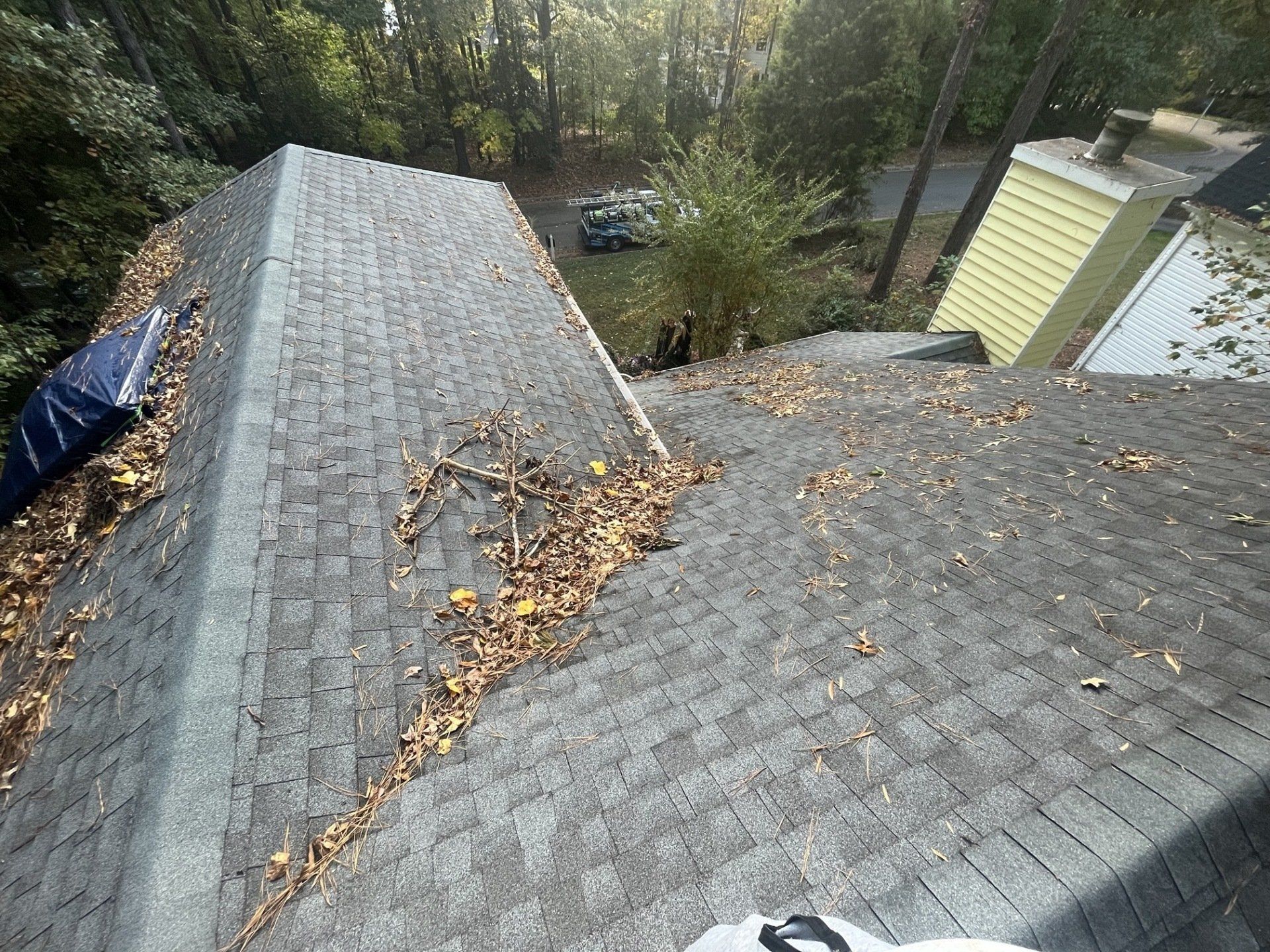 Before Leaves Were Removed — Henrico, VA — Central Virginia Power Washing
