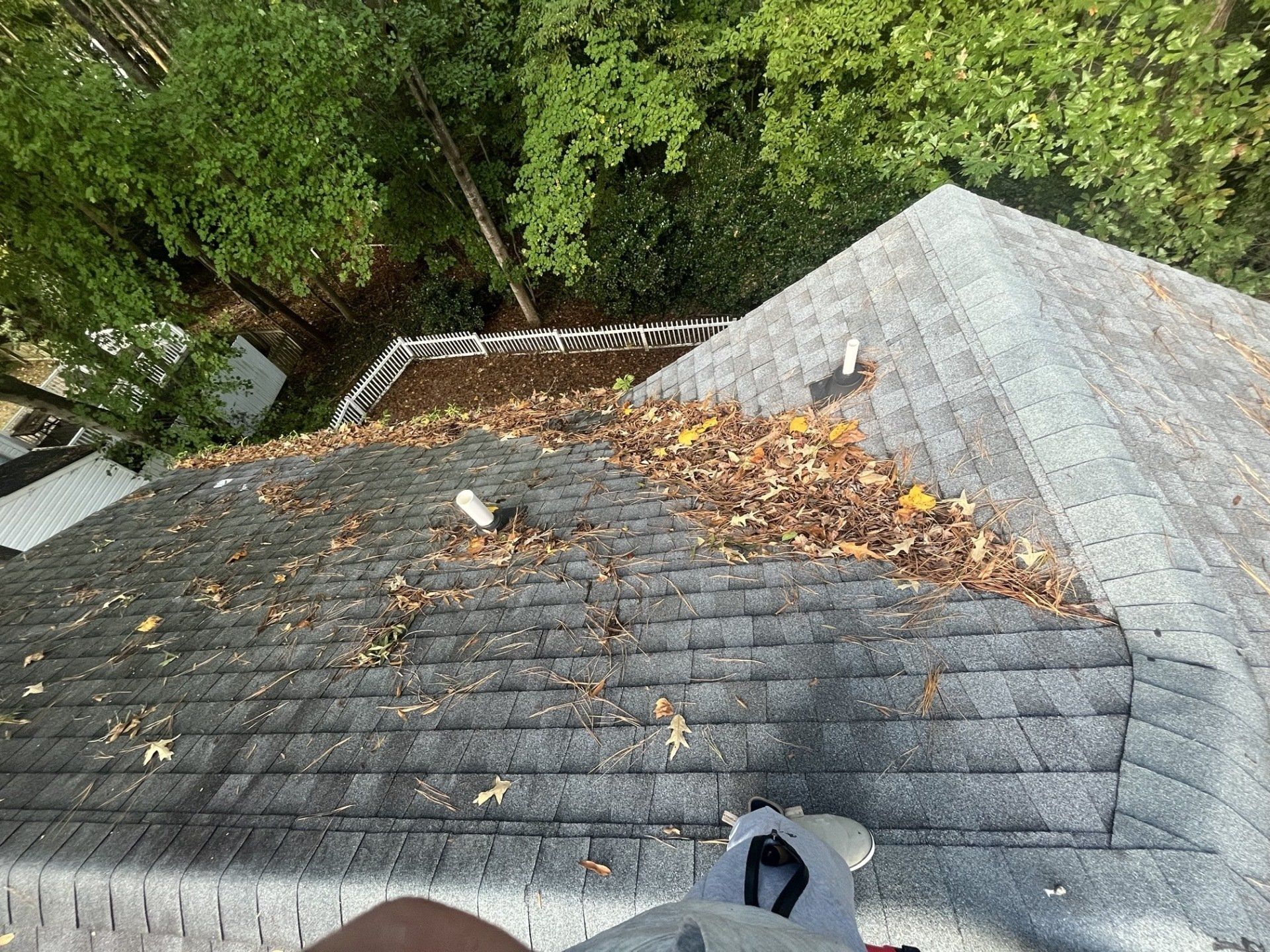 Before Leaves Were Removed — Henrico, VA — Central Virginia Power Washing