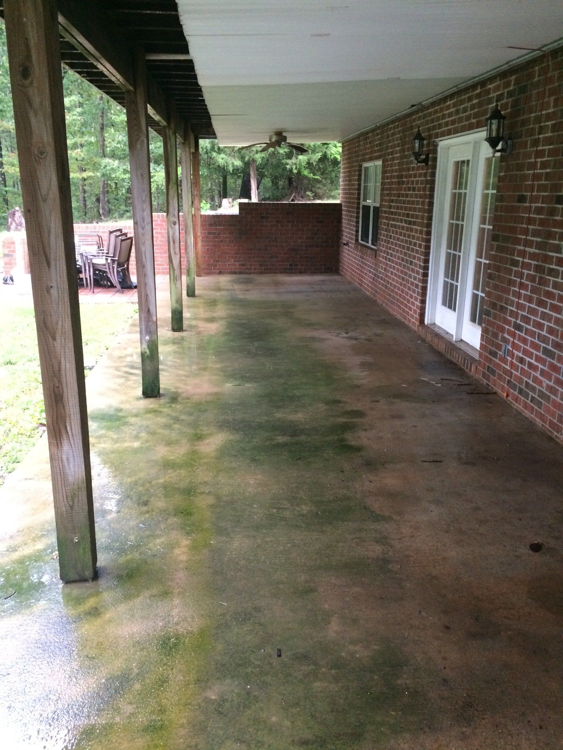 old dirty concrete floor with algae