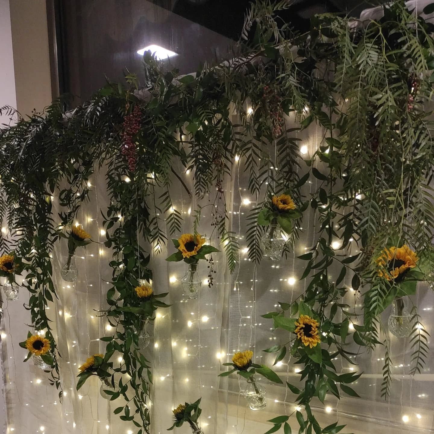 i sogni son desideri