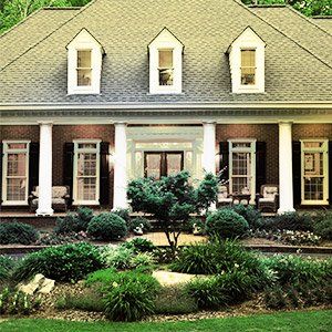 shrub planting and maintenance.jpg