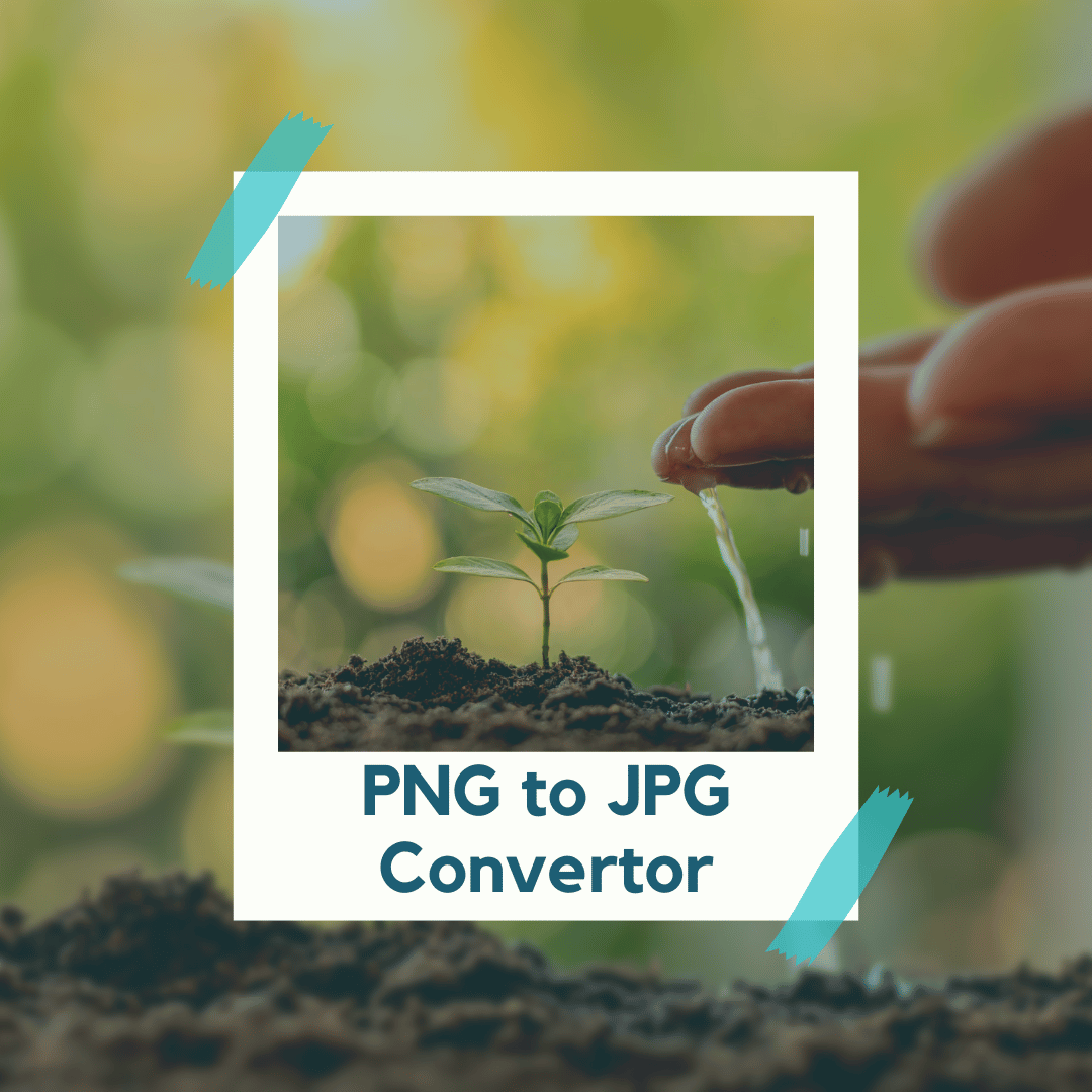 Convert your PNG images to JPG format