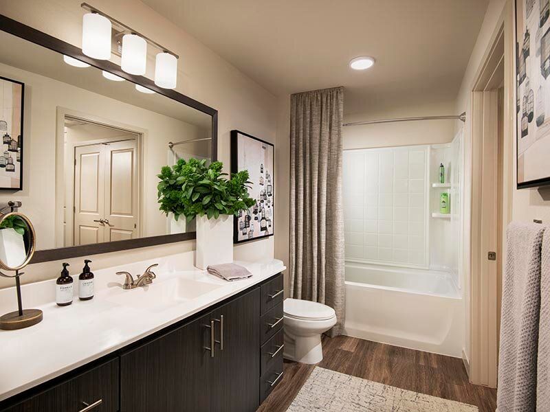Modern bathroom with a double-sink vanity, large mirror, plant, and a bathtub/shower.
