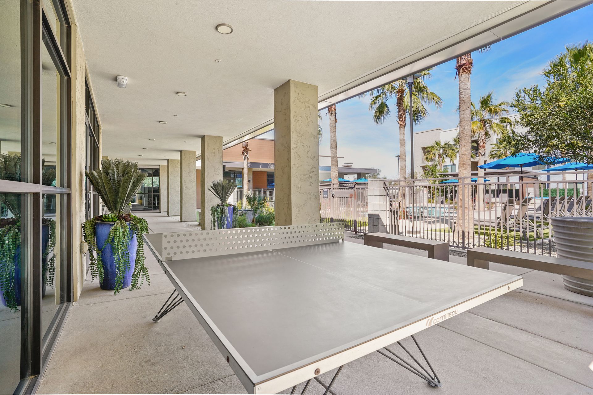 Ping pong table on a covered patio with palm trees and benches visible in the background at Parc South Mountain in Phoenix, AZ..