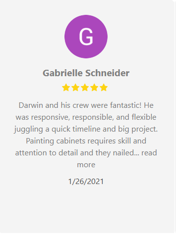 Review from Gabrielle Schneider, praising Darwin and crew for cabinet painting.