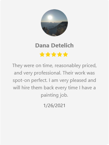 Customer review: Dana Detelich with 5-star rating. 